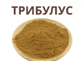 Трибусус екстракт порошок